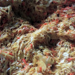 sauerkraut