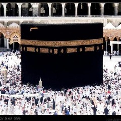 محمد الشافعي