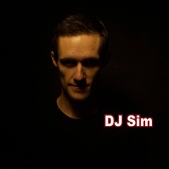 DJSimDK
