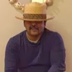 Sathish Kumar Thiruppathy