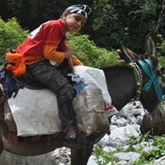 SuperSingh24