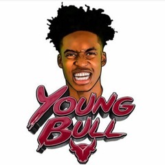 Collin Young Bull Sexton