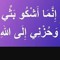 أيمن نصر