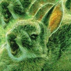 Mossrabbit