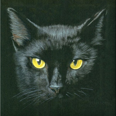 felino. mlg