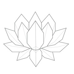 Paper Lotus