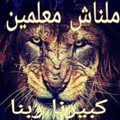 اسلام عصام