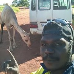 Raymond Tipungwuti