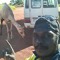 Raymond Tipungwuti