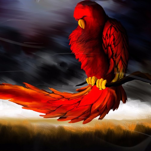 phoenix biRd’s avatar