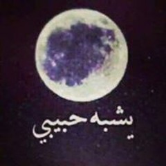 Shahy Belal