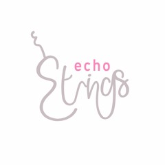 Echo String Quartet