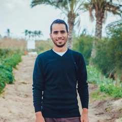Ahmed Mahmoud