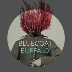 Blue Coat Buffalo