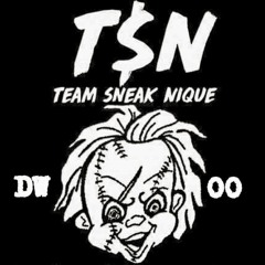Team$neakNique