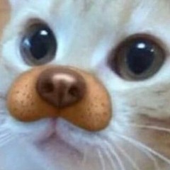 szsk