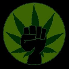 Moe's Homegrown