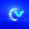 User 255406155