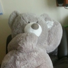 Mr Bear