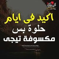 Mahmoud Rabea