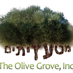 Marv and Twana Inc.)