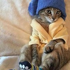 Peggy Pieters hij-zij,diens