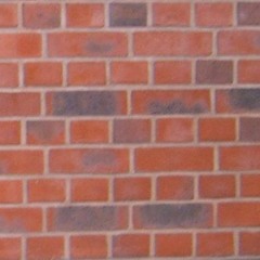 anouk
