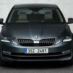 محمود الدمناوي