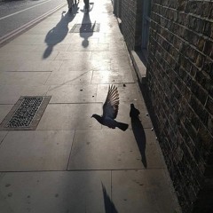 Flirting With Clarity