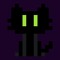 Cattus Spatium