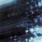 user501950500