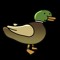 Duck Hunt