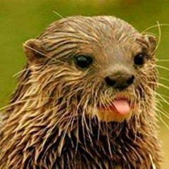 Jónatan Merchán Tato