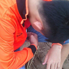 ພູວາລິນ ແສງສະຫວັນ