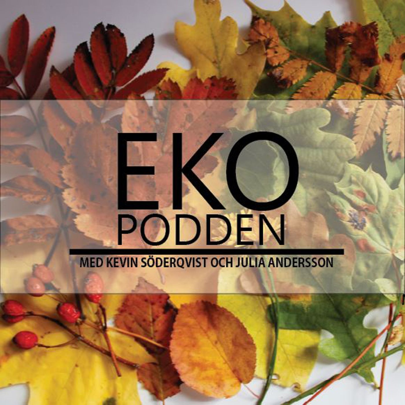 EKOPODDEN
