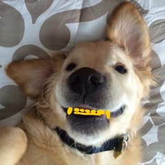 lil dark aka juicy j aka lil j