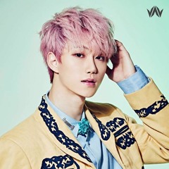 VAV-Baron