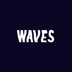 Waves The Writer