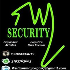 Wmd Segurity Mayorga