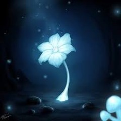 Whispers of Echo