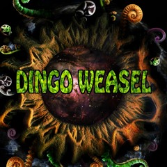 Dingo Weasel