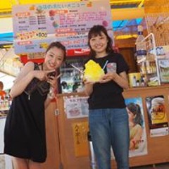 高橋万由子 S Stream 高橋万由子 S Stream