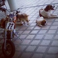 Norman Ledesma Patiño