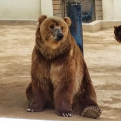 Александр К