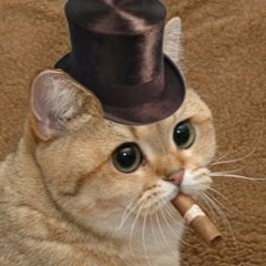 TopHatCat