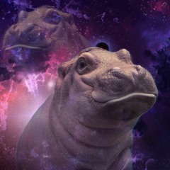 K. SpaceHippo