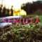 Seniuta
