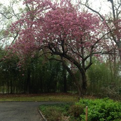 starstruckpyromaniac