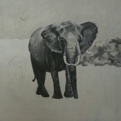 התכנית של שנה ב