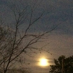 S.D.McMillen Band etc